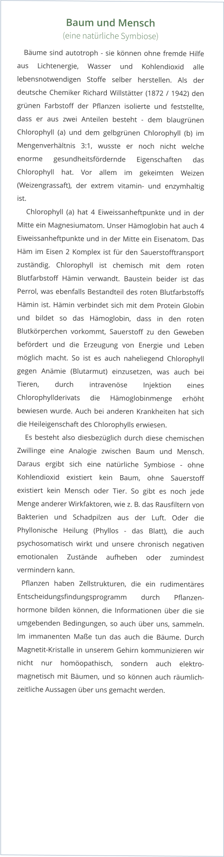 Baum und Mensch  (eine natürliche Symbiose)    Bäume sind autotroph - sie können ohne fremde Hilfe aus Lichtenergie, Wasser und Kohlendioxid alle lebensnotwendigen Stoffe selber herstellen. Als der deutsche Chemiker Richard Willstätter (1872 / 1942) den grünen Farbstoff der Pflanzen isolierte und feststellte, dass er aus zwei Anteilen besteht - dem blaugrünen Chlorophyll (a) und dem gelbgrünen Chlorophyll (b) im Mengenverhältnis 3:1, wusste er noch nicht welche enorme gesundheitsfördernde Eigenschaften das Chlorophyll hat. Vor allem im gekeimten Weizen (Weizengrassaft), der extrem vitamin- und enzymhaltig ist.    Chlorophyll (a) hat 4 Eiweissanheftpunkte und in der Mitte ein Magnesiumatom. Unser Hämoglobin hat auch 4 Eiweissanheftpunkte und in der Mitte ein Eisenatom. Das Häm im Eisen 2 Komplex ist für den Sauerstofftransport zuständig. Chlorophyll ist chemisch mit dem roten Blutfarbstoff Hämin verwandt. Baustein beider ist das Perrol, was ebenfalls Bestandteil des roten Blutfarbstoffs Hämin ist. Hämin verbindet sich mit dem Protein Globin und bildet so das Hämoglobin, dass in den roten Blutkörperchen vorkommt, Sauerstoff zu den Geweben befördert und die Erzeugung von Energie und Leben möglich macht. So ist es auch naheliegend Chlorophyll gegen Anämie (Blutarmut) einzusetzen, was auch bei Tieren, durch intravenöse Injektion eines Chlorophyllderivats die Hämoglobinmenge erhöht bewiesen wurde. Auch bei anderen Krankheiten hat sich die Heileigenschaft des Chlorophylls erwiesen.    Es besteht also diesbezüglich durch diese chemischen Zwillinge eine Analogie zwischen Baum und Mensch. Daraus ergibt sich eine natürliche Symbiose - ohne Kohlendioxid existiert kein Baum, ohne Sauerstoff existiert kein Mensch oder Tier. So gibt es noch jede Menge anderer Wirkfaktoren, wie z. B. das Rausfiltern von Bakterien und Schadpilzen aus der Luft. Oder die Phyllonische Heilung (Phyllos - das Blatt), die auch psychosomatisch wirkt und unsere chronisch negativen emotionalen Zustände aufheben oder zumindest vermindern kann.     Pflanzen haben Zellstrukturen, die ein rudimentäres Entscheidungsfindungsprogramm durch Pflanzen-hormone bilden können, die Informationen über die sie umgebenden Bedingungen, so auch über uns, sammeln. Im immanenten Maße tun das auch die Bäume. Durch Magnetit-Kristalle in unserem Gehirn kommunizieren wir nicht nur homöopathisch, sondern auch elektro-magnetisch mit Bäumen, und so können auch räumlich-zeitliche Aussagen über uns gemacht werden.