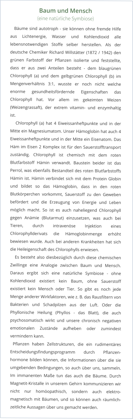 Baum und Mensch  (eine natürliche Symbiose)    Bäume sind autotroph - sie können ohne fremde Hilfe aus Lichtenergie, Wasser und Kohlendioxid alle lebensnotwendigen Stoffe selber herstellen. Als der deutsche Chemiker Richard Willstätter (1872 / 1942) den grünen Farbstoff der Pflanzen isolierte und feststellte, dass er aus zwei Anteilen besteht - dem blaugrünen Chlorophyll (a) und dem gelbgrünen Chlorophyll (b) im Mengenverhältnis 3:1, wusste er noch nicht welche enorme gesundheitsfördernde Eigenschaften das Chlorophyll hat. Vor allem im gekeimten Weizen (Weizengrassaft), der extrem vitamin- und enzymhaltig ist.    Chlorophyll (a) hat 4 Eiweissanheftpunkte und in der Mitte ein Magnesiumatom. Unser Hämoglobin hat auch 4 Eiweissanheftpunkte und in der Mitte ein Eisenatom. Das Häm im Eisen 2 Komplex ist für den Sauerstofftransport zuständig. Chlorophyll ist chemisch mit dem roten Blutfarbstoff Hämin verwandt. Baustein beider ist das Perrol, was ebenfalls Bestandteil des roten Blutfarbstoffs Hämin ist. Hämin verbindet sich mit dem Protein Globin und bildet so das Hämoglobin, dass in den roten Blutkörperchen vorkommt, Sauerstoff zu den Geweben befördert und die Erzeugung von Energie und Leben möglich macht. So ist es auch naheliegend Chlorophyll gegen Anämie (Blutarmut) einzusetzen, was auch bei Tieren, durch intravenöse Injektion eines Chlorophyllderivats die Hämoglobinmenge erhöht bewiesen wurde. Auch bei anderen Krankheiten hat sich die Heileigenschaft des Chlorophylls erwiesen.    Es besteht also diesbezüglich durch diese chemischen Zwillinge eine Analogie zwischen Baum und Mensch. Daraus ergibt sich eine natürliche Symbiose - ohne Kohlendioxid existiert kein Baum, ohne Sauerstoff existiert kein Mensch oder Tier. So gibt es noch jede Menge anderer Wirkfaktoren, wie z. B. das Rausfiltern von Bakterien und Schadpilzen aus der Luft. Oder die Phyllonische Heilung (Phyllos - das Blatt), die auch psychosomatisch wirkt und unsere chronisch negativen emotionalen Zustände aufheben oder zumindest vermindern kann.     Pflanzen haben Zellstrukturen, die ein rudimentäres Entscheidungsfindungsprogramm durch Pflanzen-hormone bilden können, die Informationen über die sie umgebenden Bedingungen, so auch über uns, sammeln. Im immanenten Maße tun das auch die Bäume. Durch Magnetit-Kristalle in unserem Gehirn kommunizieren wir nicht nur homöopathisch, sondern auch elektro-magnetisch mit Bäumen, und so können auch räumlich-zeitliche Aussagen über uns gemacht werden.